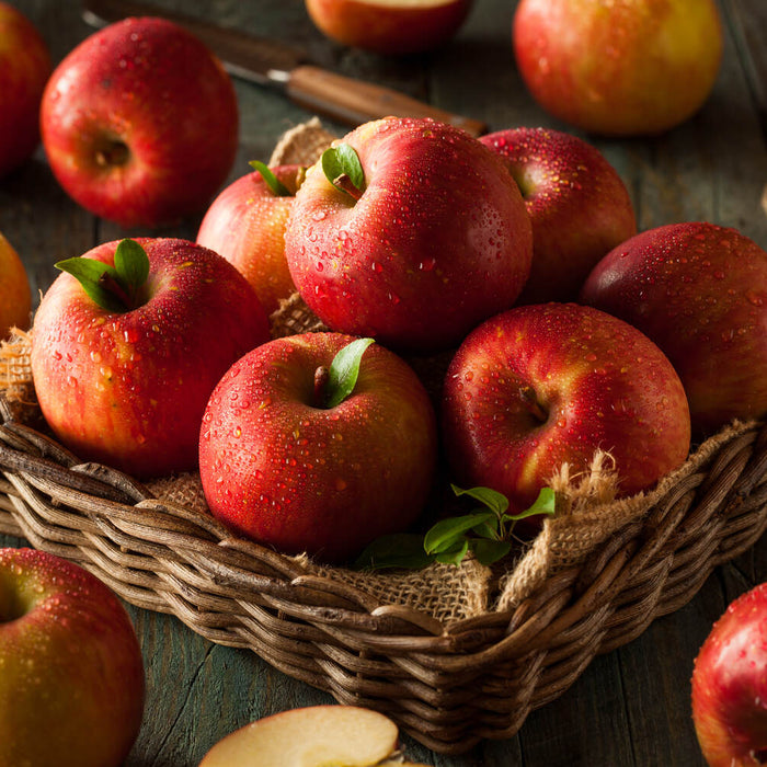 when to pick apples from free