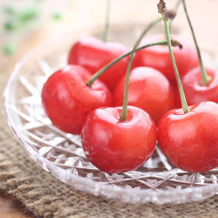 when to plant cherry trees
