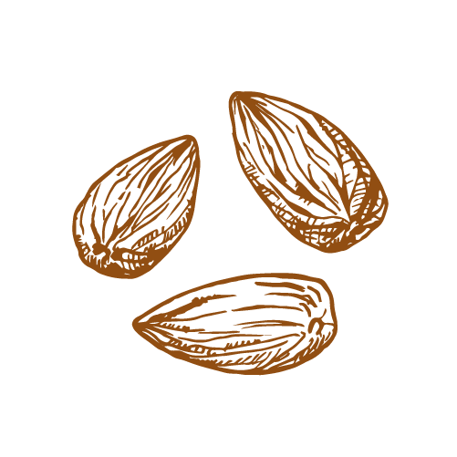 Premium Almond Trees for Your Garden | Raintree Nursery