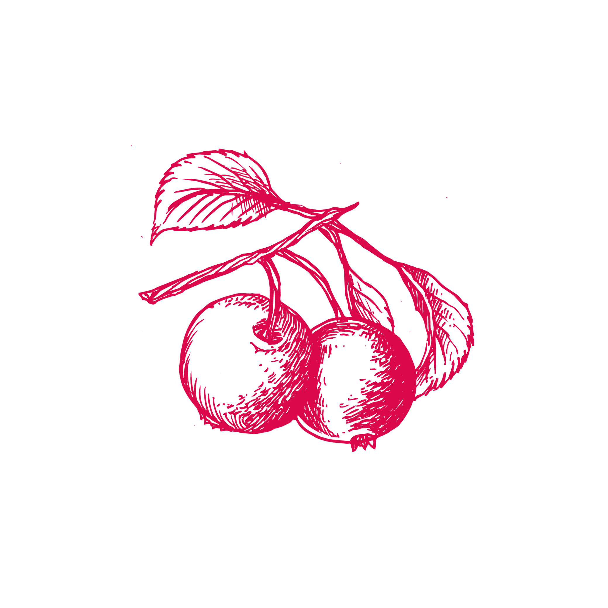 Apple Trees Online Buy High Quality Plants Raintree Nursery