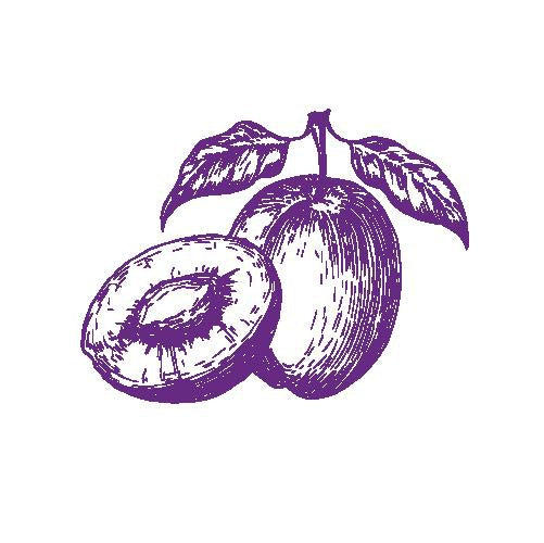 Asian Plum Trees | Quality Japanese Plants | Raintree Nursery