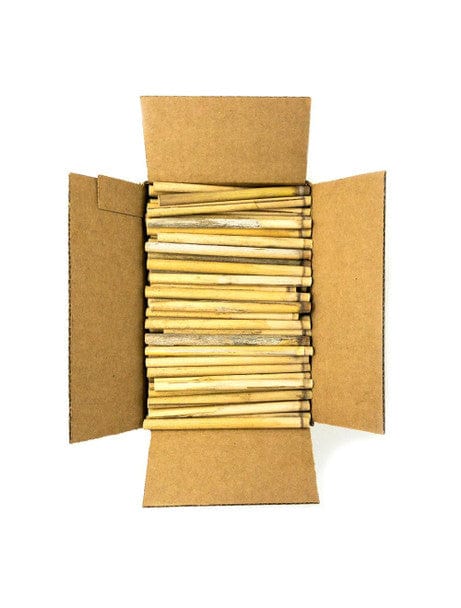 Spring Natural Reeds for Mason Bees - 8mm