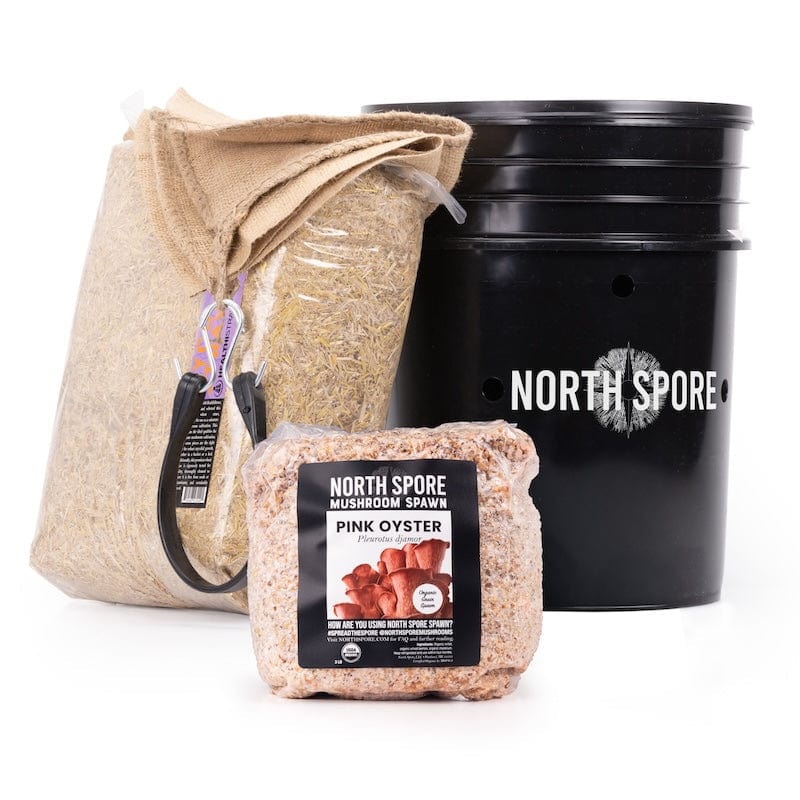 MushBucket' Blue Oyster Mushroom Bucket Grow Kit — Raintree Nursery