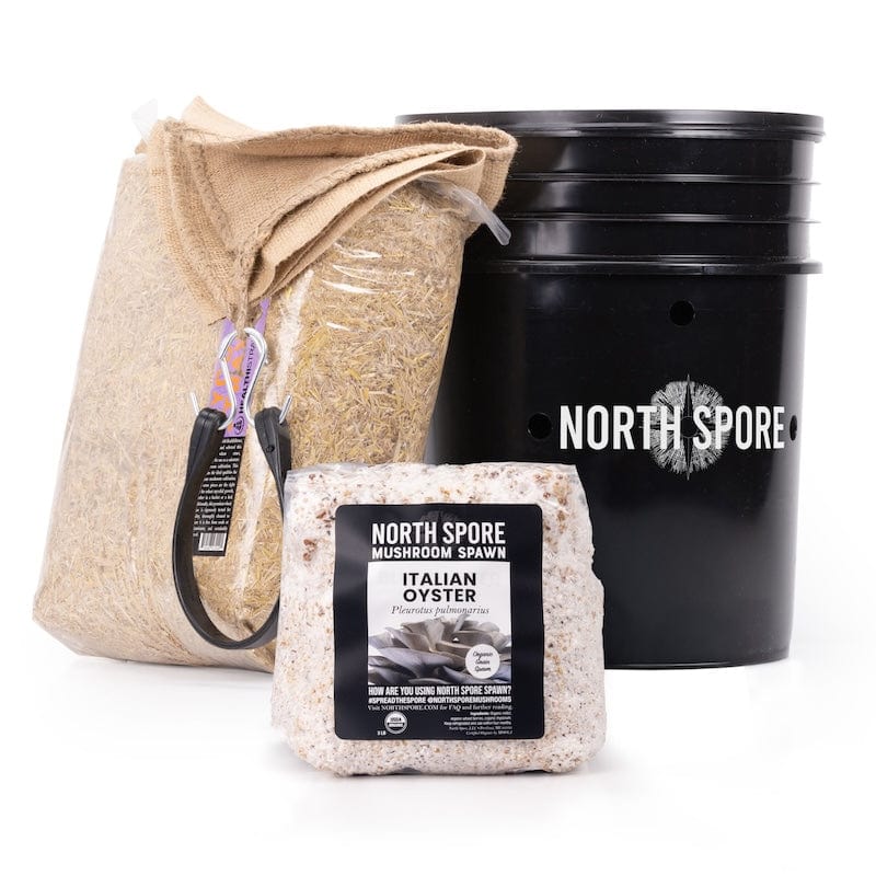 North Spore Oyster Mushroom Grow Kit - Thumbnail 2