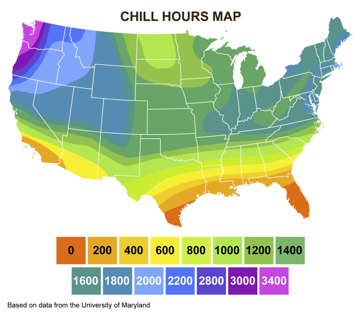 What are chill hours?