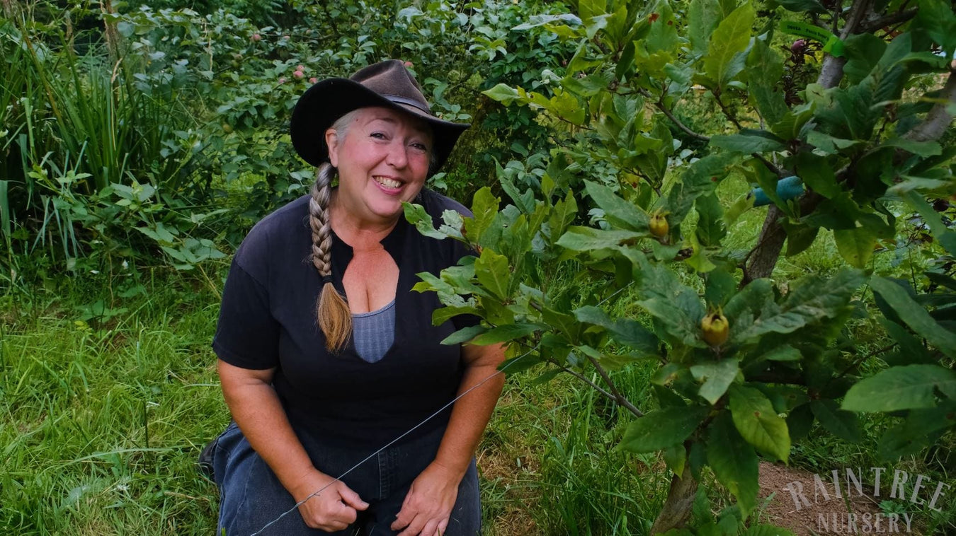 Order Fruit Trees Online Mail Order Nursery Raintree Nursery