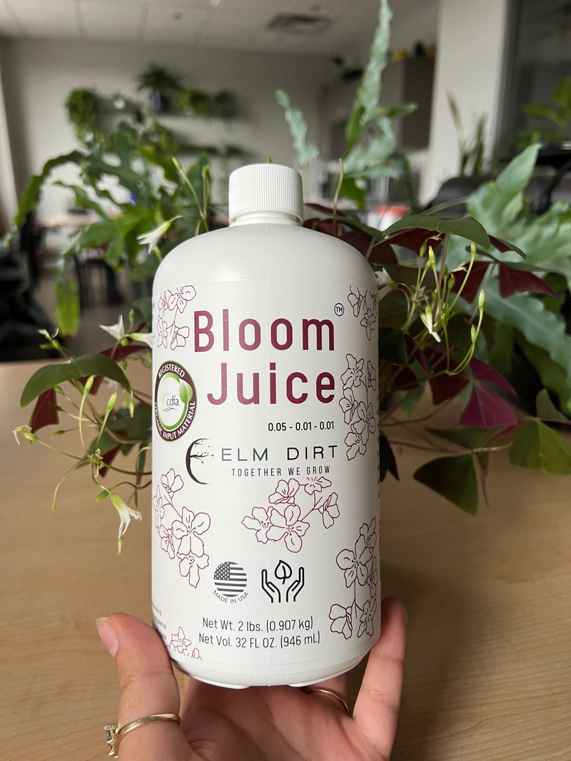 Elm Dirt Bloom Juice-Raintree Nursery-