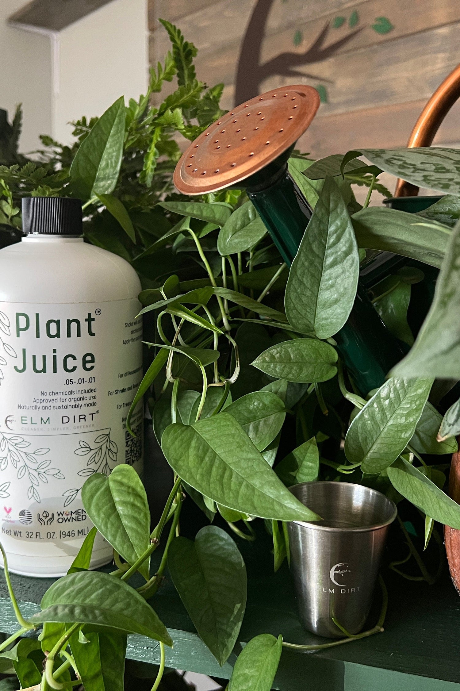 Order Fruit Trees Online Mail Order Nursery Raintree Nursery