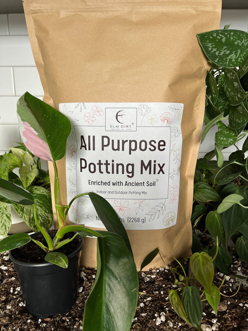 nursery potting mix Elm Dirt All-Purpose Potting Mix