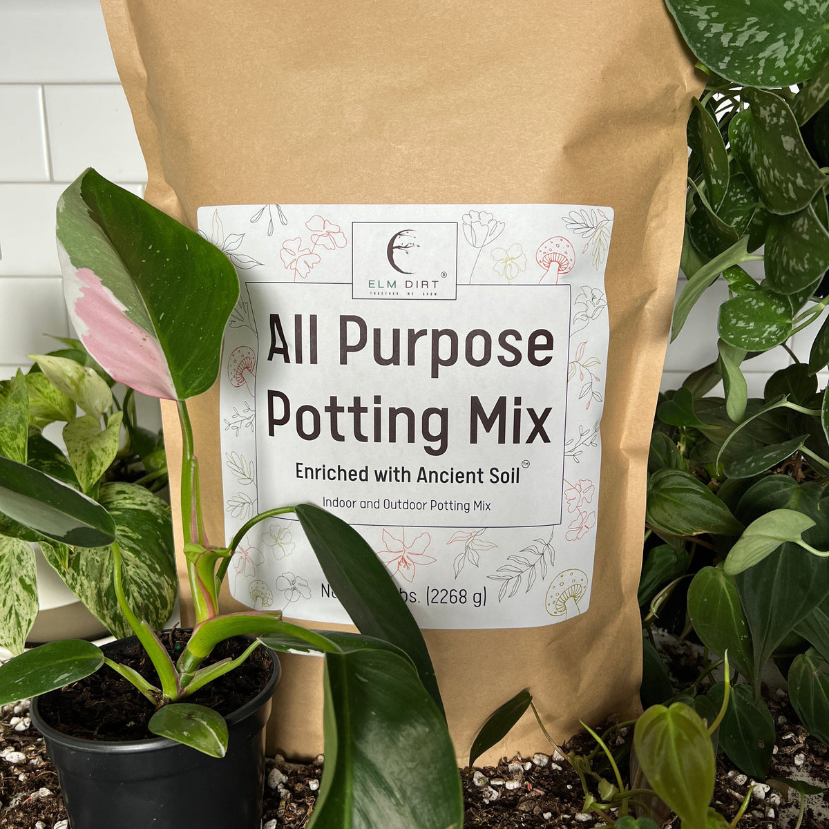 dirt for potted plants Elm Dirt All-Purpose Potting Mix