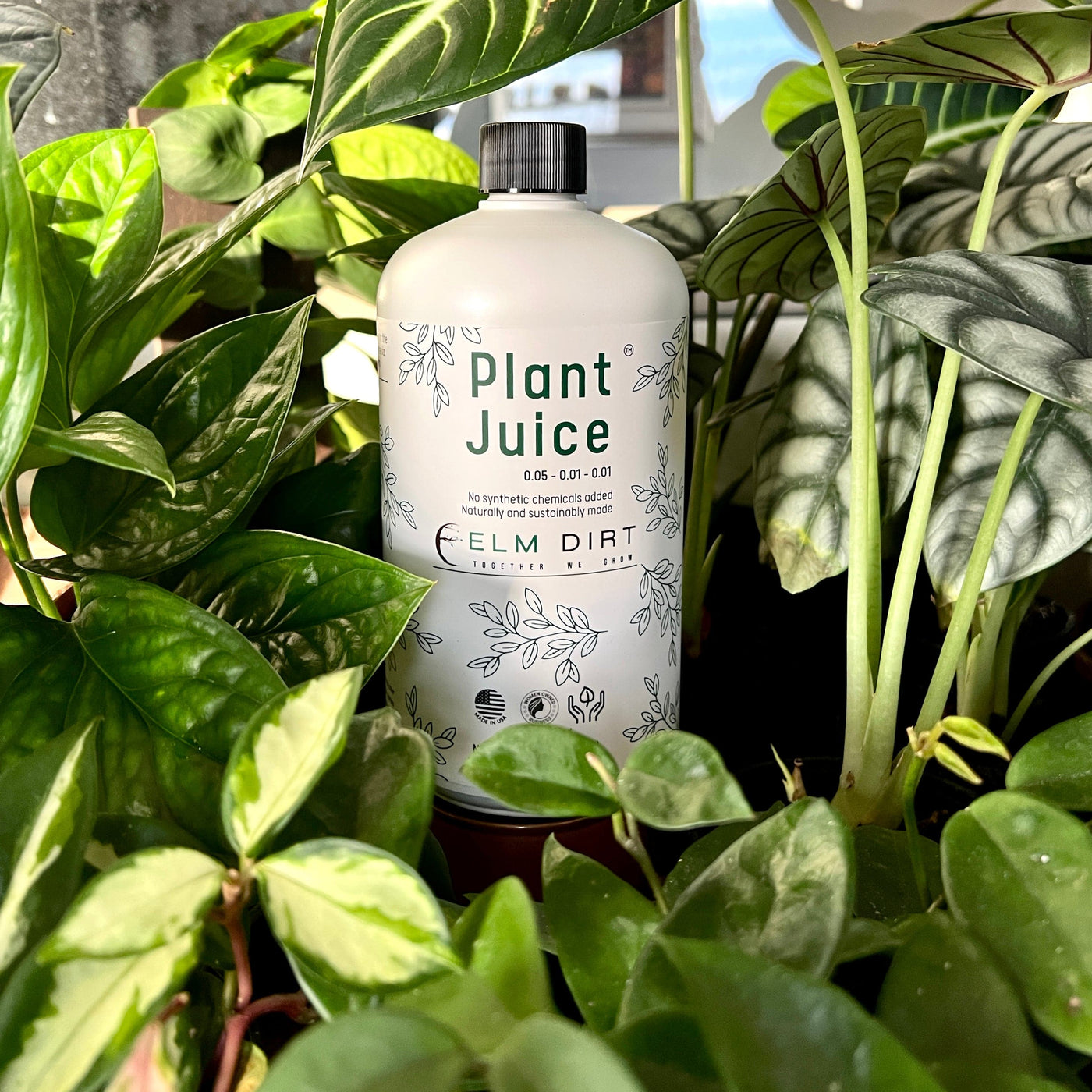 Plant Juice Elm Dirt Plant Juice Elm Dirt