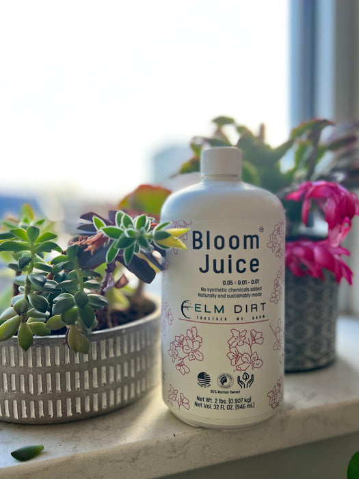 Elm Dirt Bloom Juice