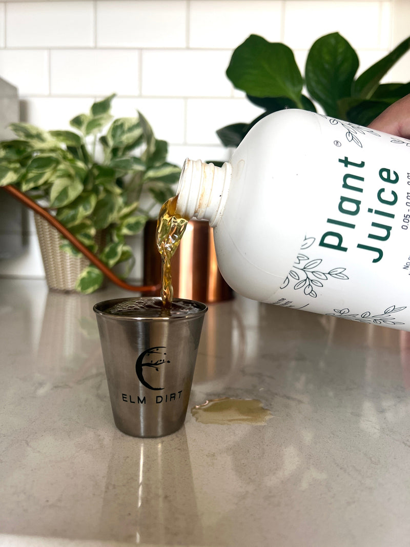 worm juice for indoor plants Plant Juice