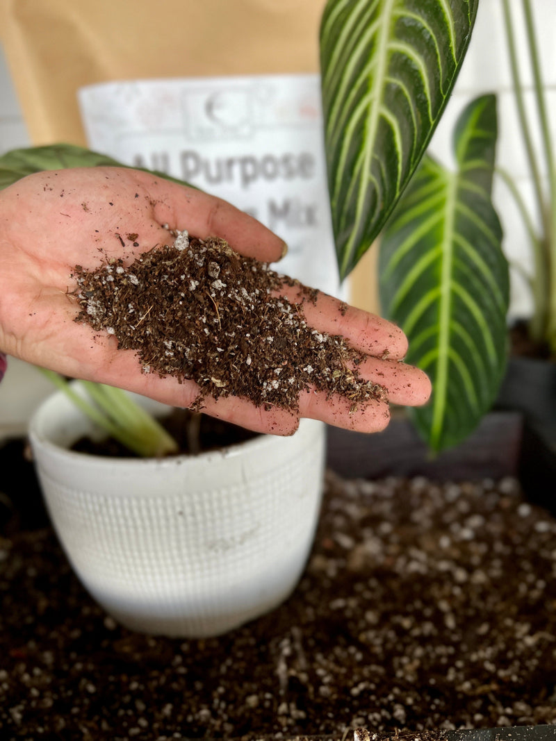 nursery potting mix Elm Dirt All-Purpose Potting Mix