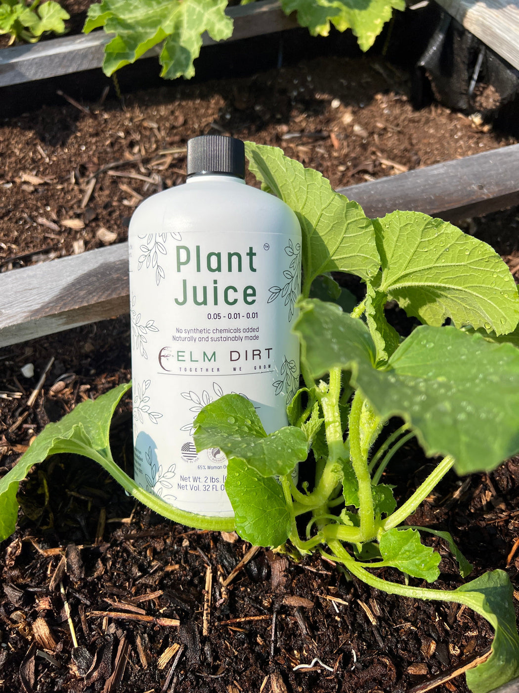 Elm Dirt Plant Juice