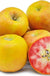 Lucy™ Glo Apple-Fruit Trees-Biringer