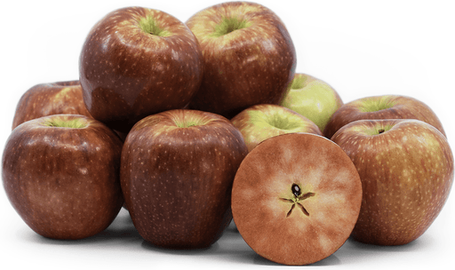 Lucy™ Rose Apple-Fruit Trees-Biringer