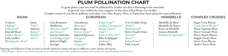 Citrus Tree Pollination Chart.pdf GROWING FRUIT TREES PLUMS