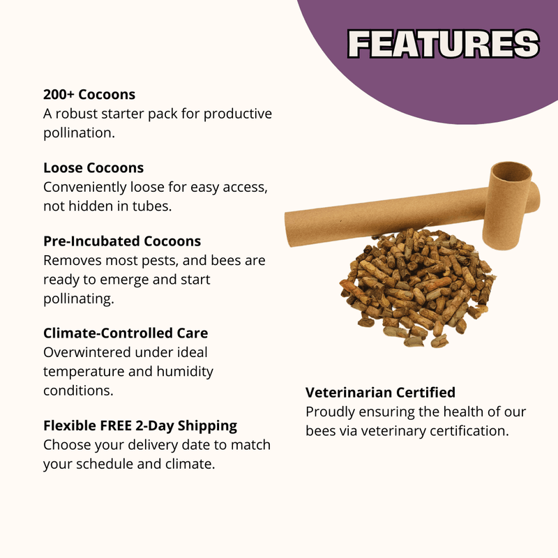 Summer Leaf Bees - (200ct) Free FedEx 2-Day Mail