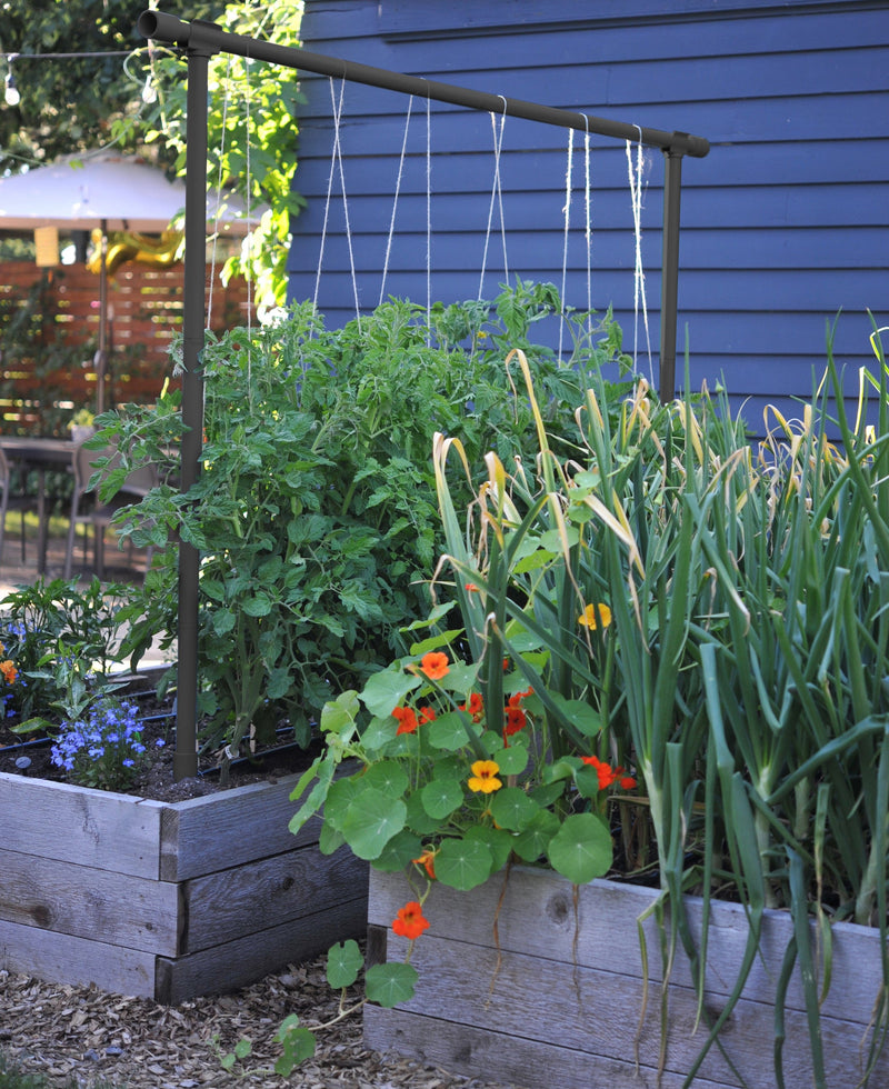 Freyr Trellis by Seattle Urban Farm Company-Raintree Nursery-Midnight Charcoal-
