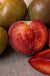 Combo Pluot Tree (3 varieties)-Fruit Trees-Dave Wilson-Semi-Dwarf (4'-5')-