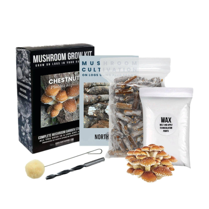 Organic Chestnut Mushroom Outdoor Log Kit