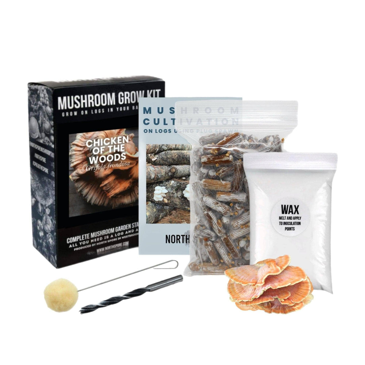 Organic Chicken of the Woods Mushroom Outdoor Log Kit - Raintree 