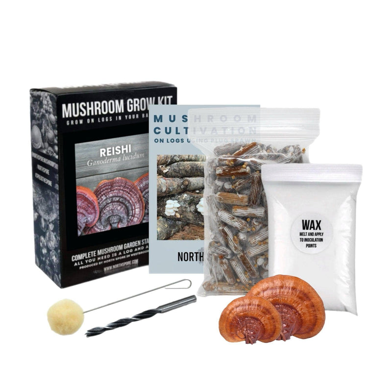 Organic Red Reishi Mushroom Outdoor Log Growing Kit