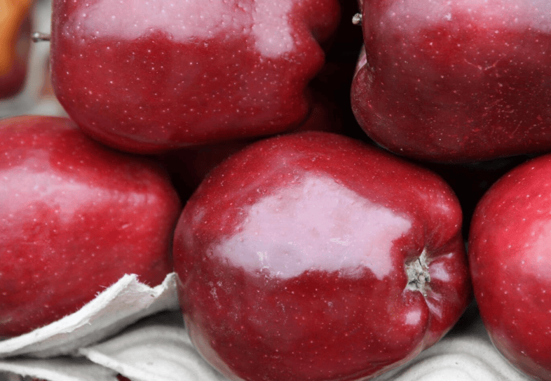 Red Delicious Red Delicious Apple - Raintree Nursery