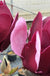 Tinkerbelle Magnolia-Ornamentals-Briggs-1 Gallon Pot-