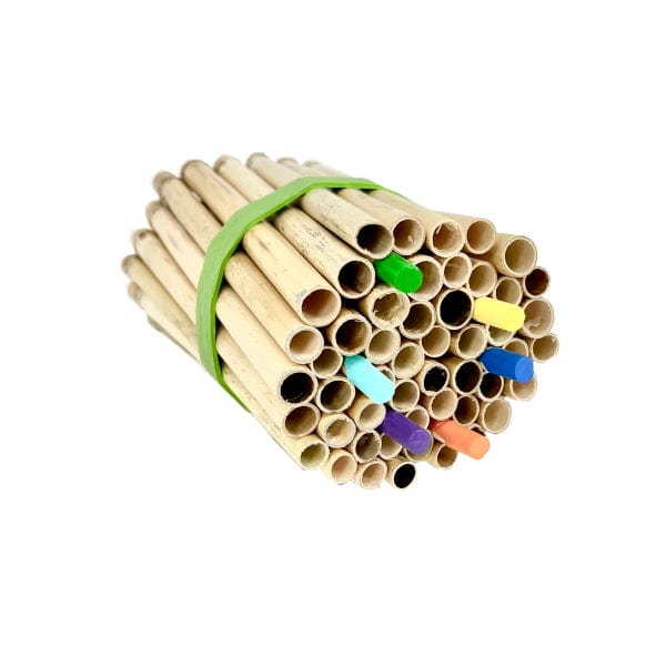 Spring Natural Reeds for Mason Bees - 8mm