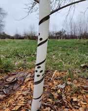 TREE Guards 24 Inch-Supplies-Peachridge-1 Tree Guard-