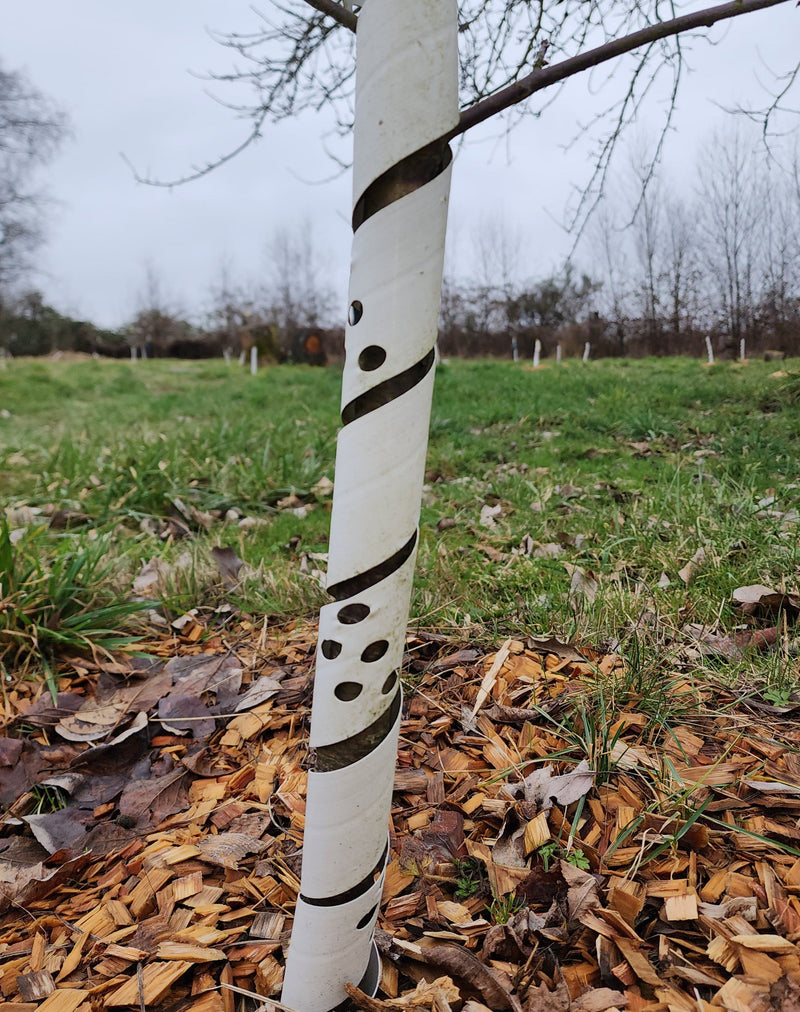 TREE Guards 24 Inch-Supplies-Peachridge-1 Tree Guard-