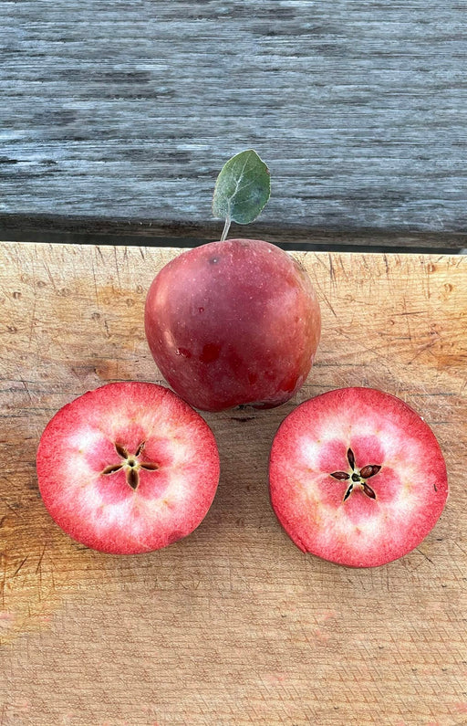 Almata Apple-Fruit Trees-Biringer-Semi-Dwarf (4'-5')-