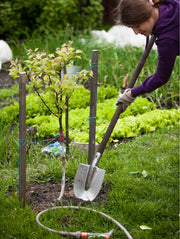 Horticulture Consultation - Raintree Nursery