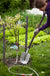 Horticulture Consultation - Raintree Nursery