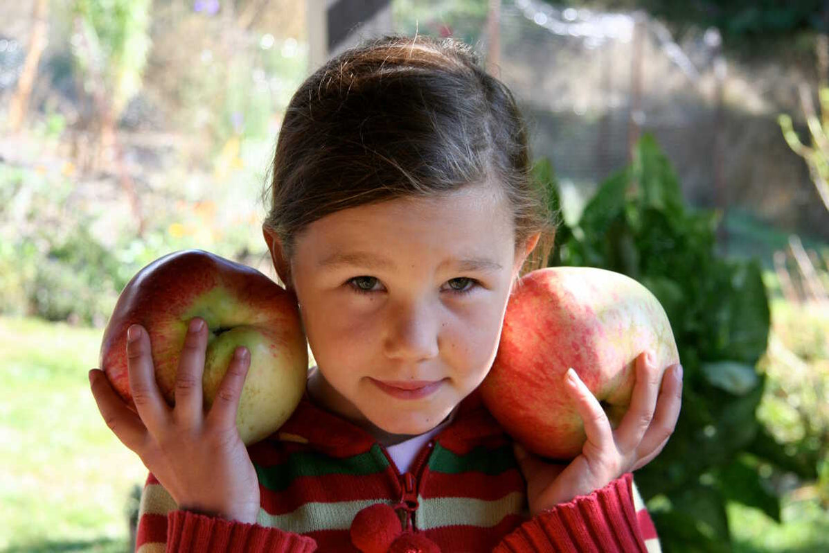 wolf-river-apple-raintree-nursery