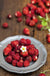 Rugen Alpine Strawberry - Raintree Nursery