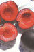 Tlor-Tsiran Apricot - Raintree Nursery