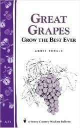 Great Grapes - Raintree Nursery