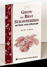 Grow the Best Strawberries - Raintree Nursery