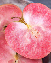 Almata Apple - Raintree Nursery