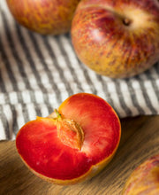 Flavor Supreme Pluot - Raintree Nursery
