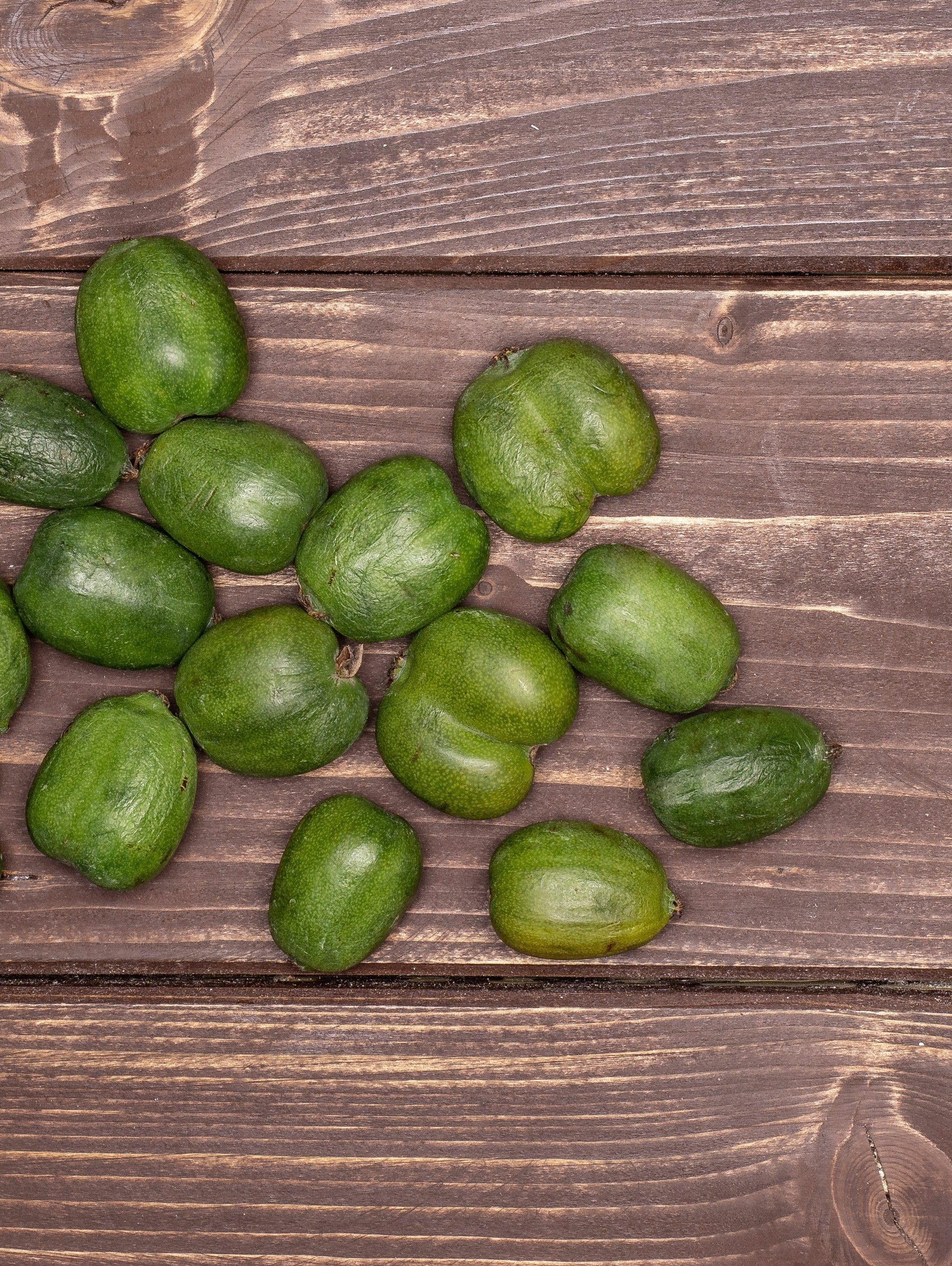 Vine Plants for Sale Buy Vine Plants — Raintree Nursery