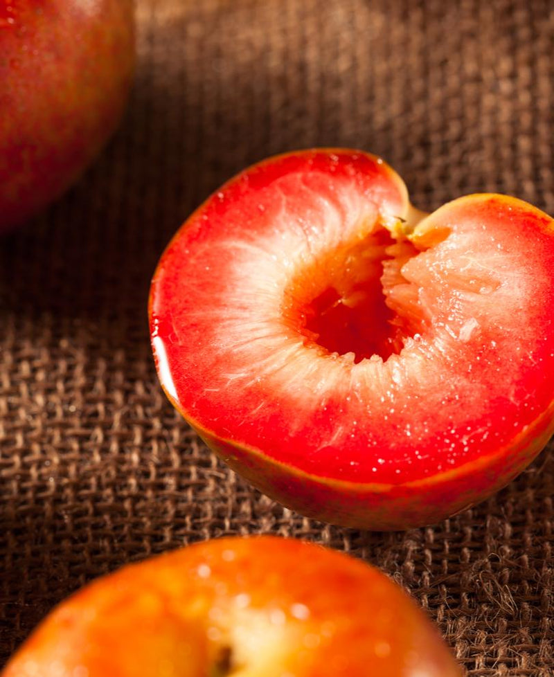Dapple Dandy Pluot - Raintree Nursery