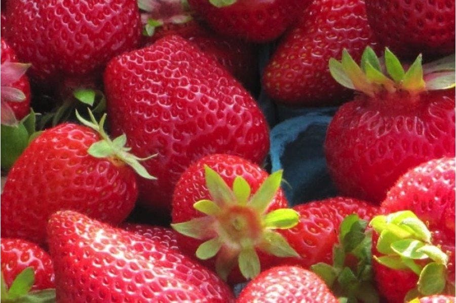Totem Strawberry Bundle (2 packs)