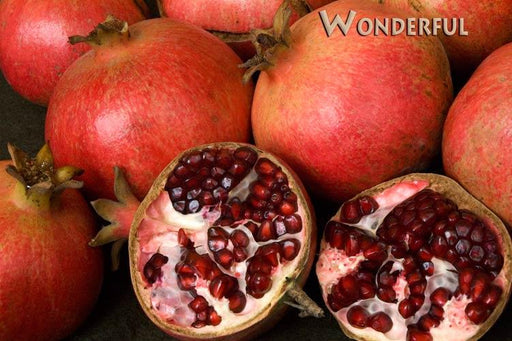 Wonderful Pomegranate - Raintree Nursery